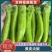 推荐精品黄皮尖椒产地直发量大价优品保障