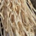 萝卜干