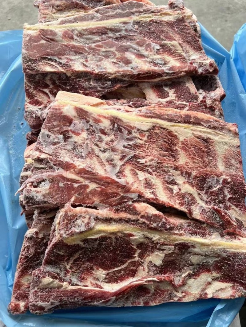 牛羽骨