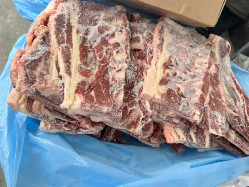 牛羽骨