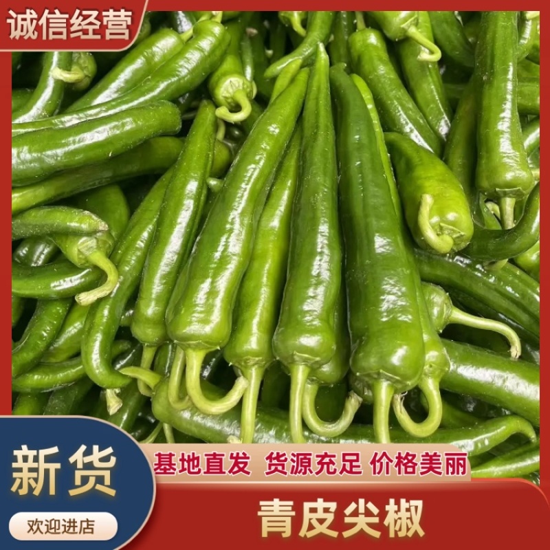 广东鲜辣椒精品产地直发，货源稳定可视频看欢迎