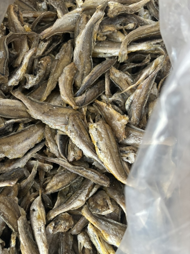 「推荐」香酥小黄鱼、酥酥脆脆都可以自产自销保质保量