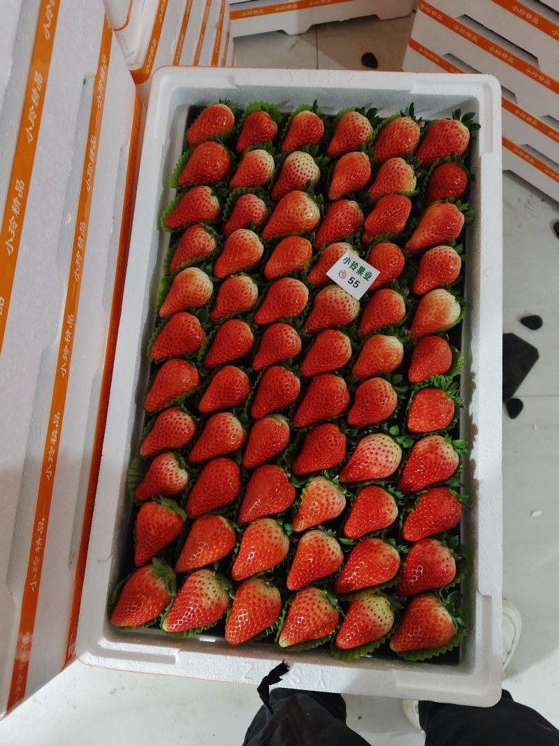 商丘秒香贵妃奶油草莓