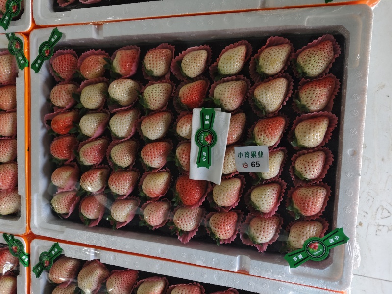 商丘秒香贵妃奶油草莓