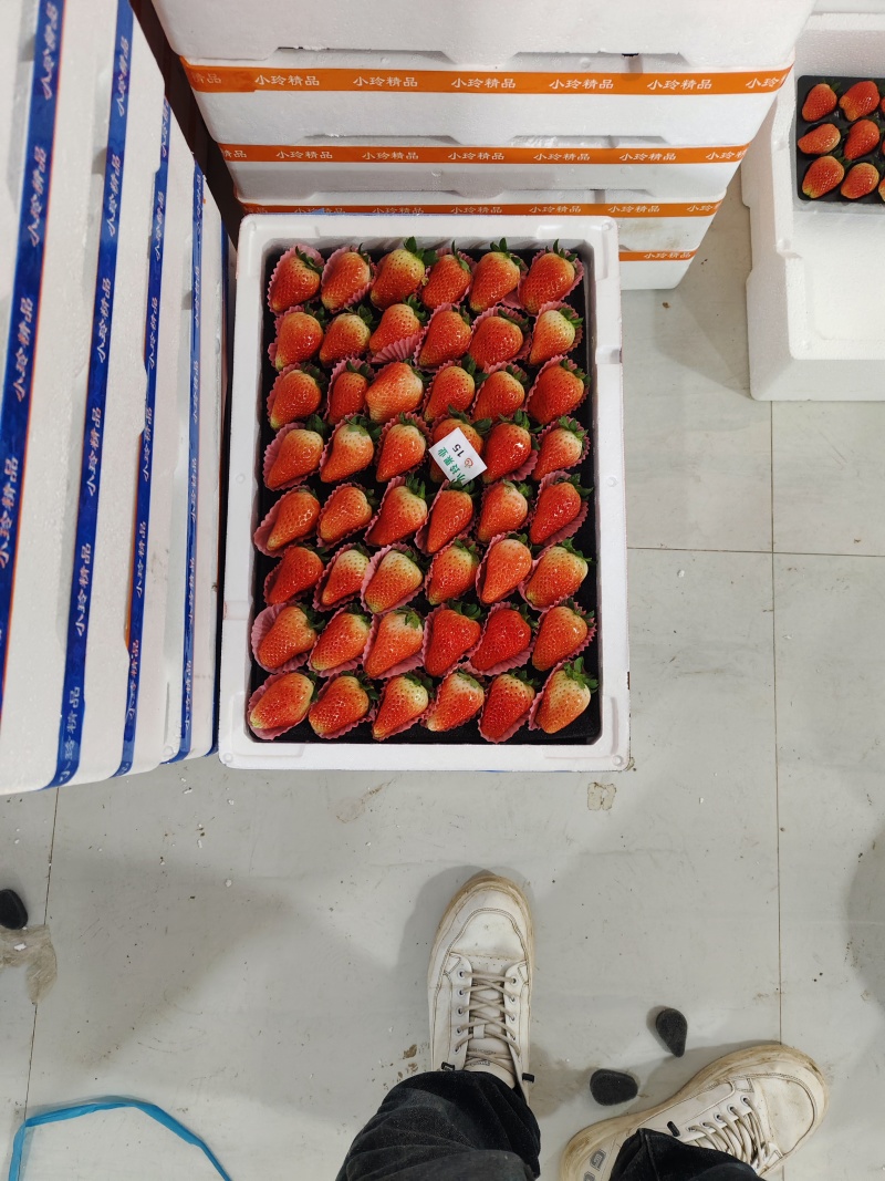 商丘秒香贵妃奶油草莓