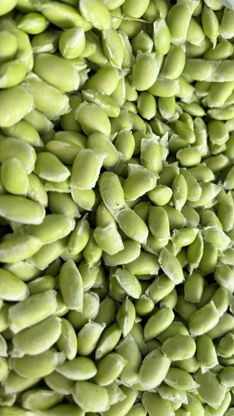 常年有货广西桂林纯手工毛豆米、毛豆粒、毛豆仁
