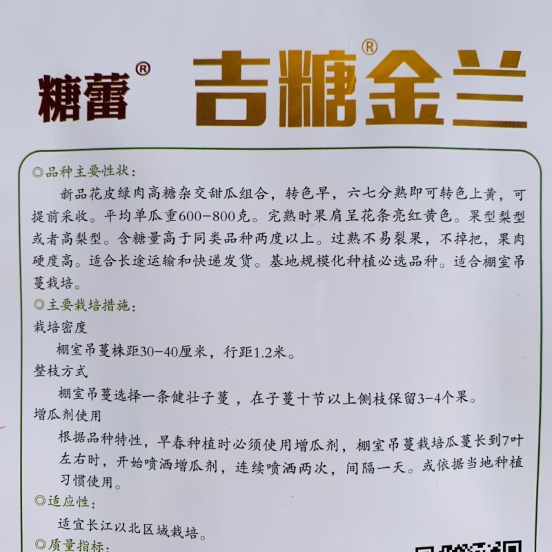 吉糖金兰露地改良版甜瓜种子高糖新品种特甜大果八里香瓜种籽