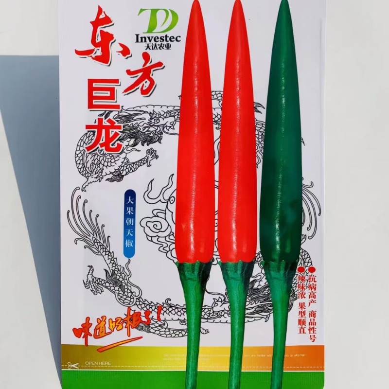 云南大果朝天椒种子农好椒天下朝天椒小米辣椒种子泰国引进