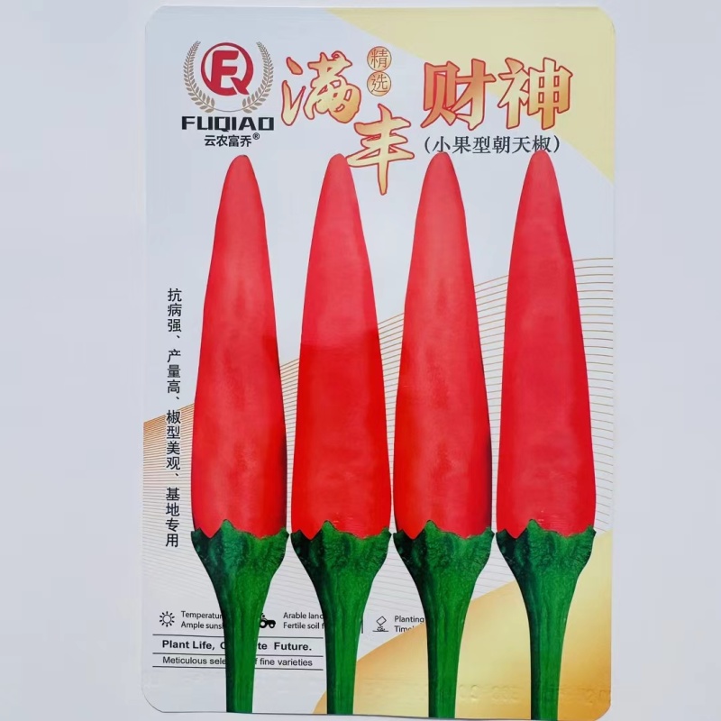 云南大果朝天椒种子农好椒天下朝天椒小米辣椒种子泰国引进