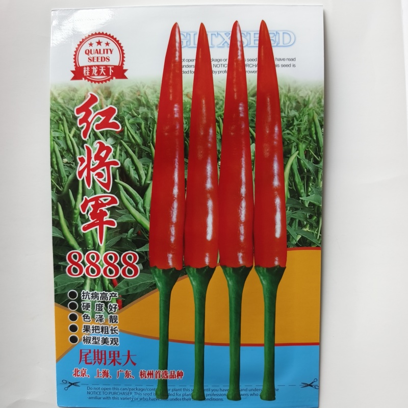 云南大果朝天椒种子农好椒天下朝天椒小米辣椒种子泰国引进