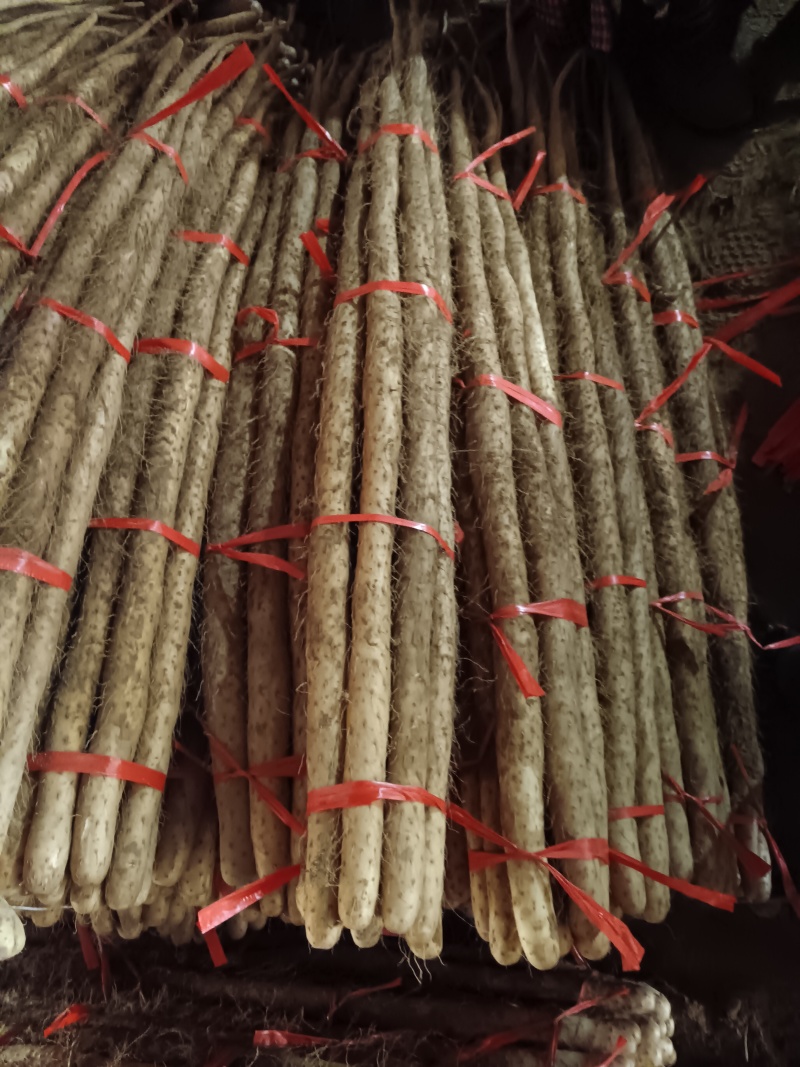 万亩基地红皮铁棍大量有货，欢迎老板联系我。
