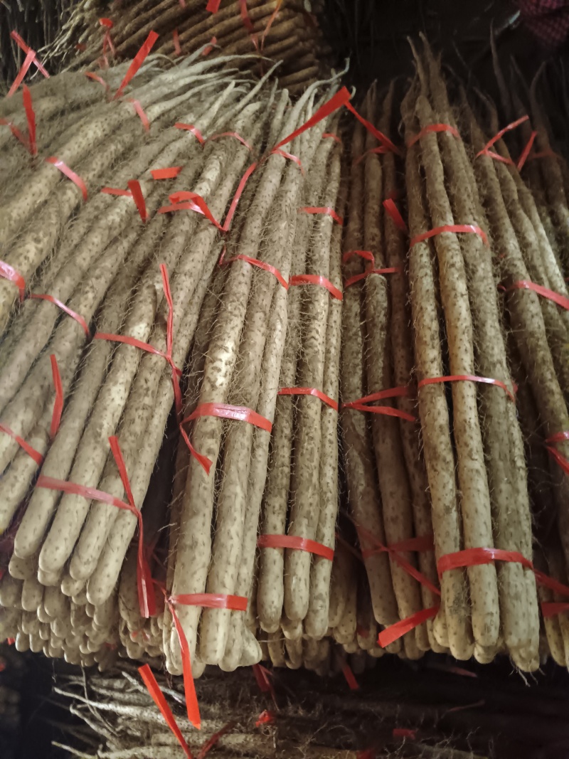 万亩基地红皮铁棍大量有货，欢迎老板联系我。