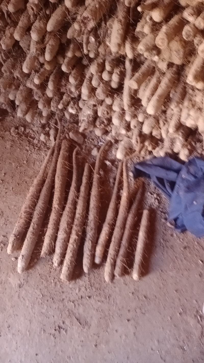 有粗度的双棒二三路打皮货