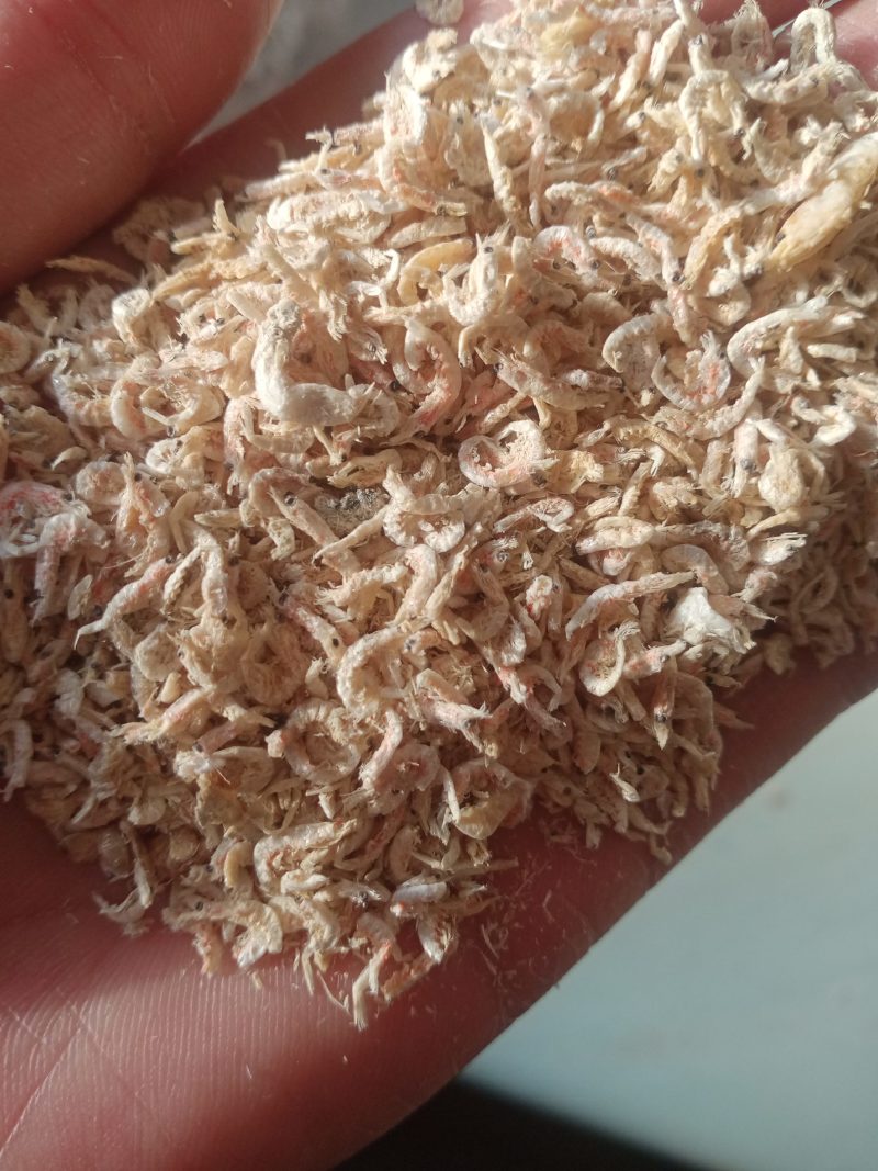虾头整个高温水煮南美虾头饲料