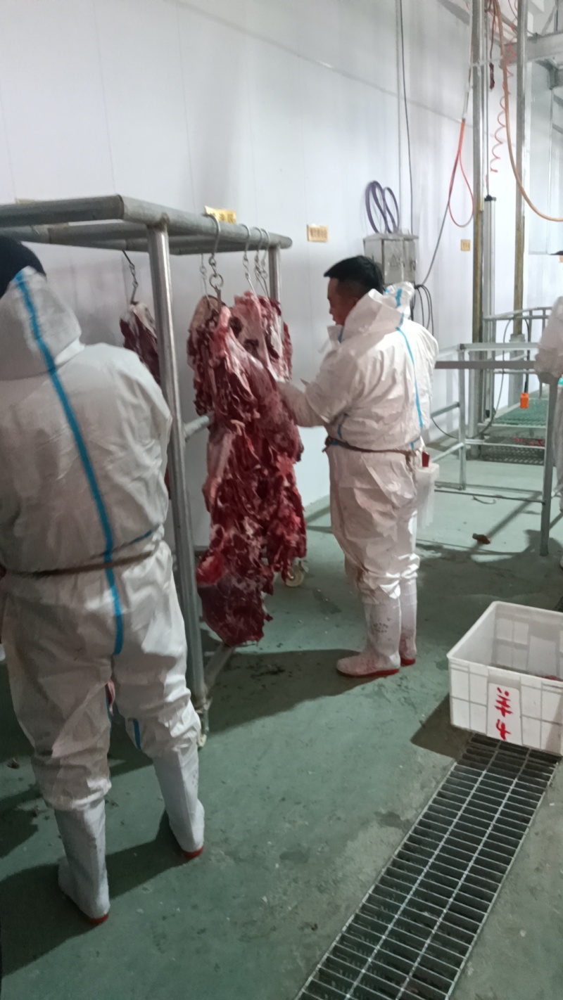 屠宰场新鲜牛肉，全国可发，手续齐全常年供应品质好价格优惠