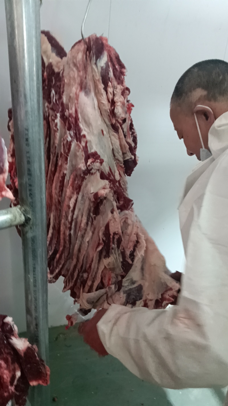 屠宰场新鲜牛肉，全国可发，手续齐全常年供应品质好价格优惠