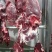 屠宰场新鲜牛肉，全国可发，手续齐全常年供应品质好价格优惠