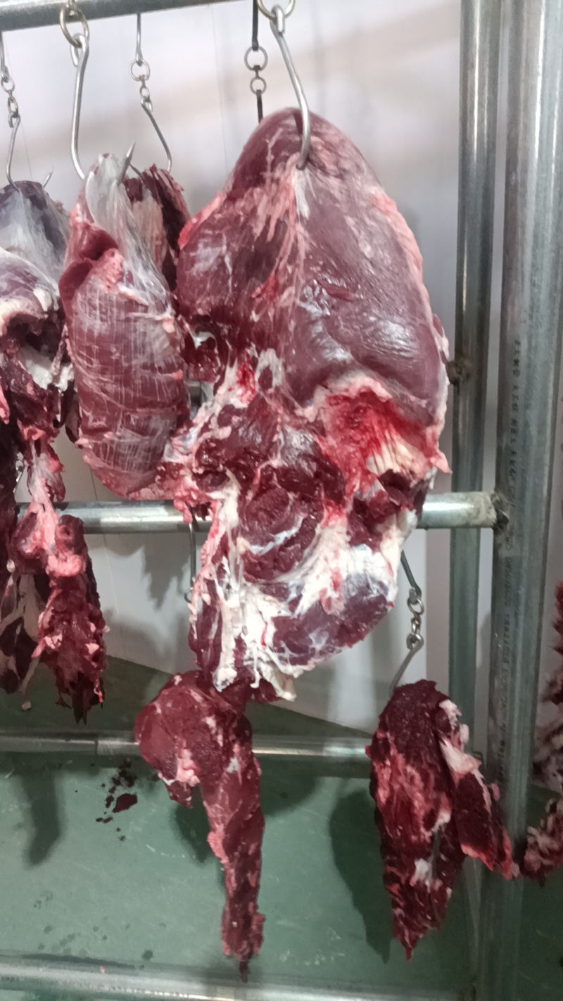 屠宰场新鲜牛肉，全国可发，手续齐全常年供应品质好价格优惠
