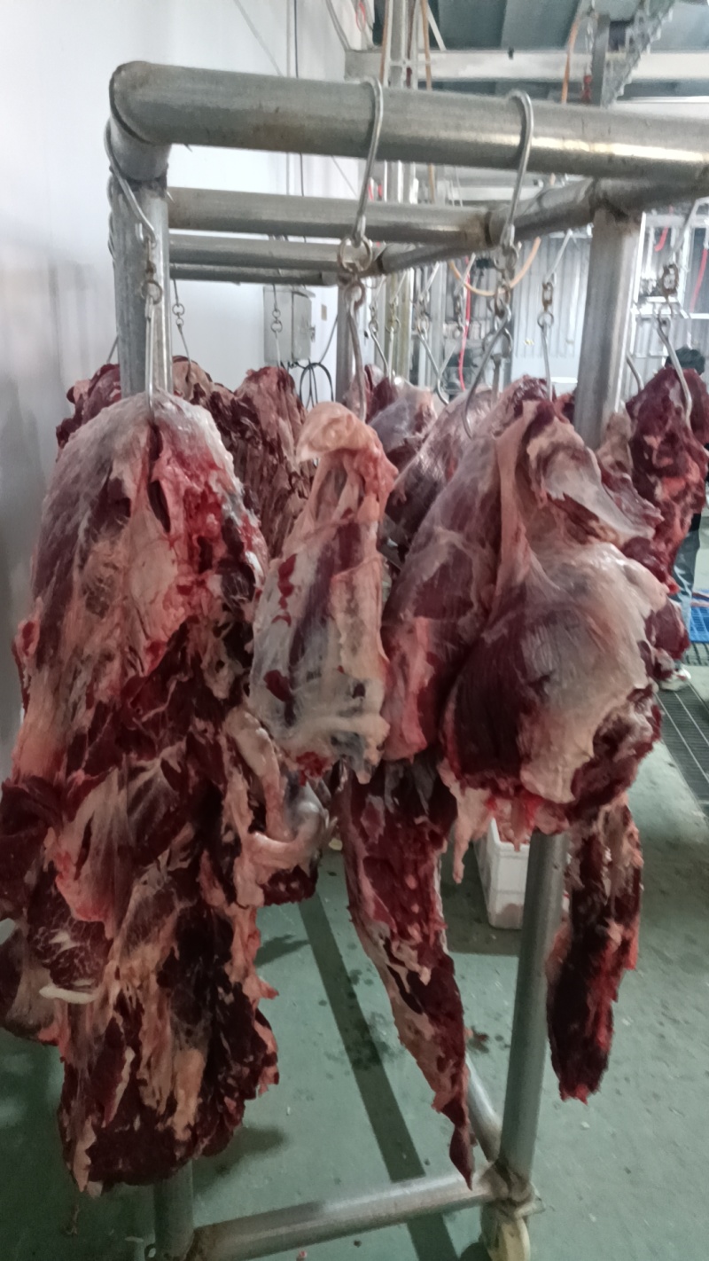 屠宰场新鲜牛肉，全国可发，手续齐全常年供应品质好价格优惠