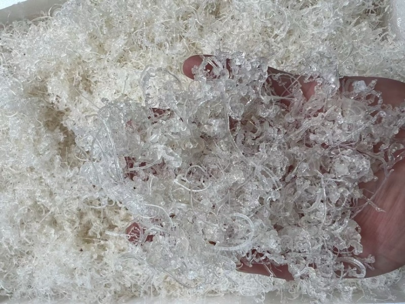 短龙须雪燕