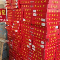 带鱼