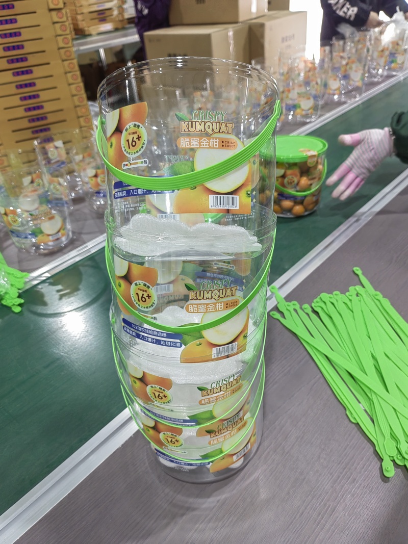 精品脆蜜金桔，产地直发，全国市场，商超供应，支持一件代发