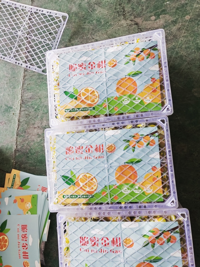 精品脆蜜金桔，产地直发，全国市场，商超供应，支持一件代发