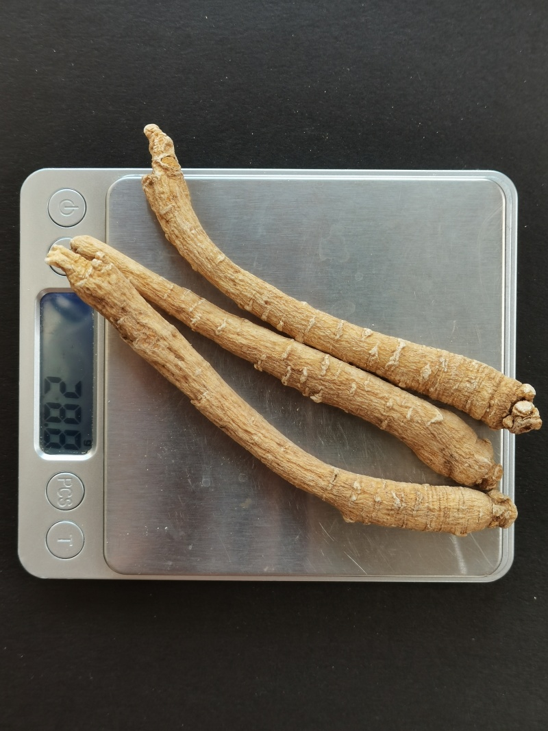 正宗文登西洋参条段根枝500克可切片打粉包邮参农大量批发