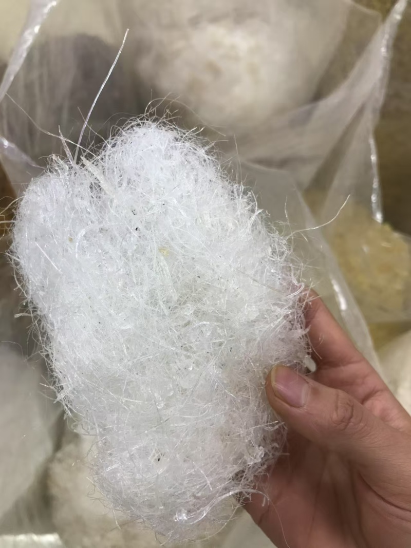 雪燕大龙须小龙须一手货源保质保真