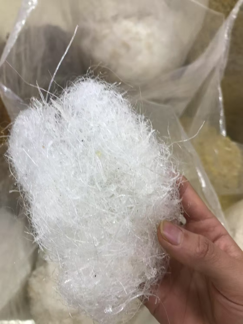 雪燕大龙须小龙须一手货源保质保真
