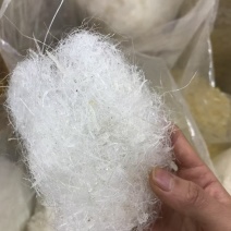 雪燕大龙须小龙须一手货源保质保真