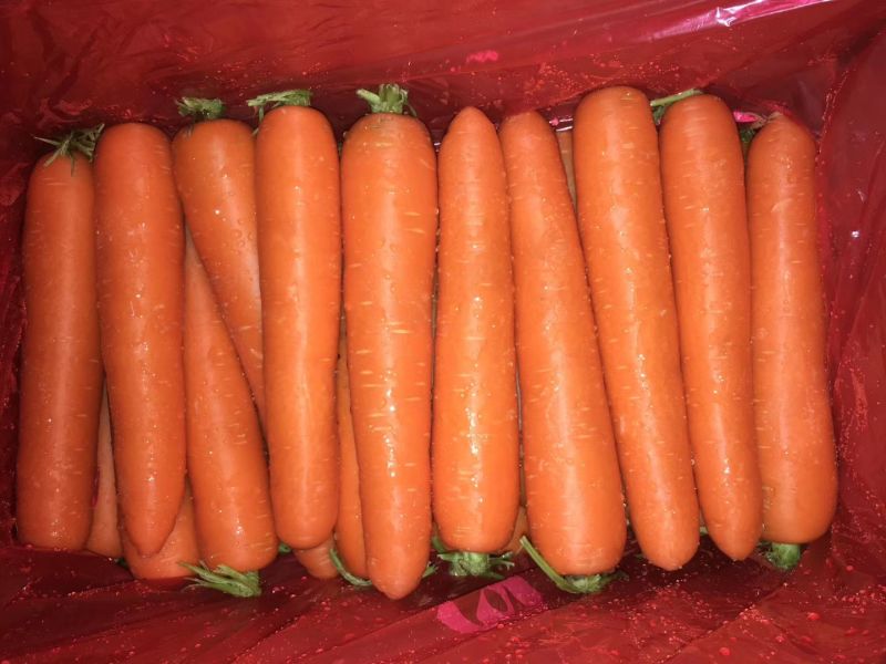 精品水洗胡萝卜三红胡萝卜二红大红萝卜电商货箱子货