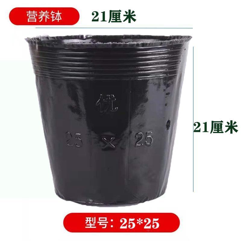 营养钵营养杯育苗杯育苗袋10x10号2分
