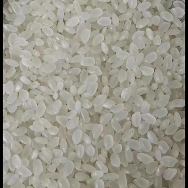 东北珍珠米