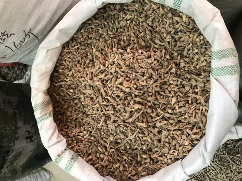 优质三七根规格多样现货速发一手货源质量保证
