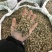 优质三七根规格多样现货速发一手货源质量保证