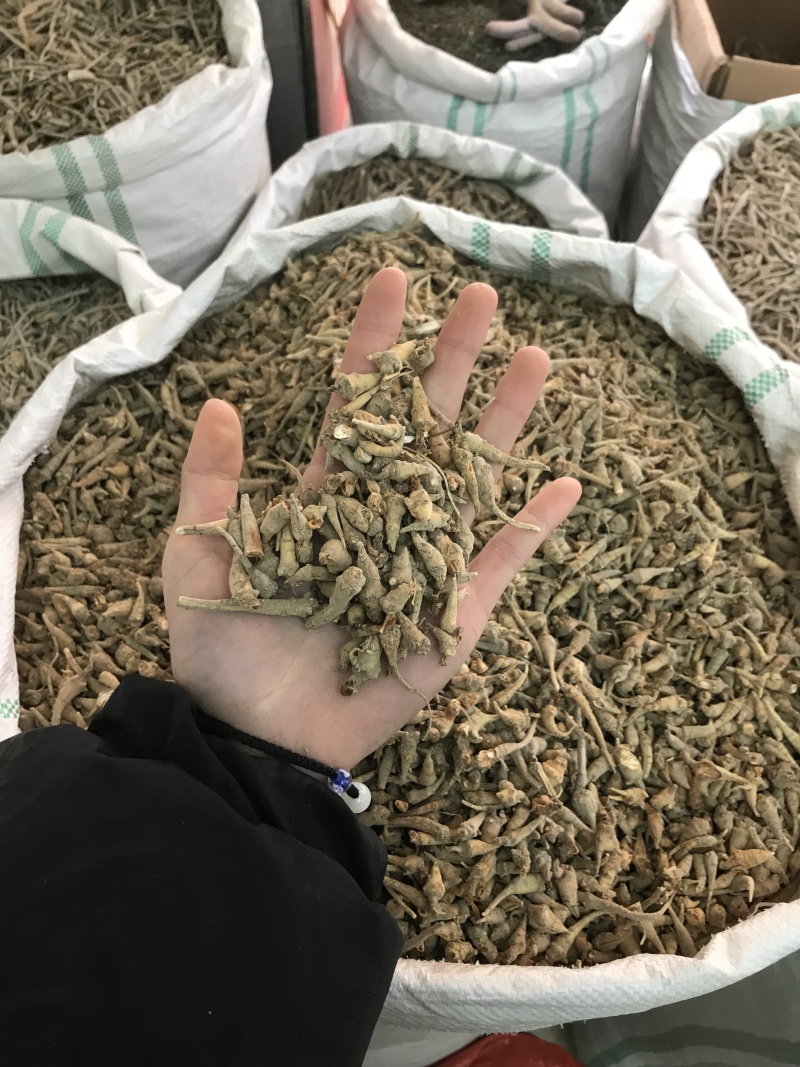 优质三七根规格多样现货速发一手货源质量保证