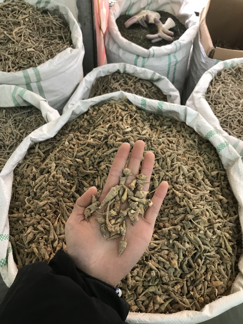 优质三七根规格多样现货速发一手货源质量保证