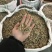 优质三七根规格多样现货速发一手货源质量保证