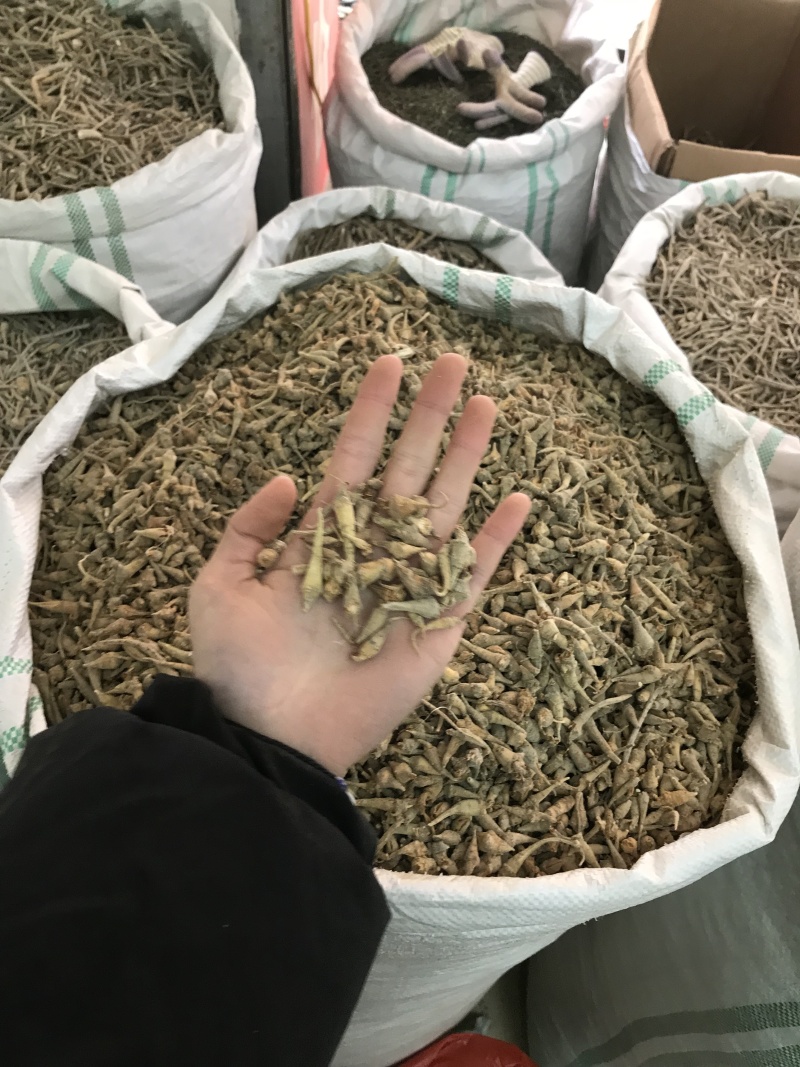 优质三七根规格多样现货速发一手货源质量保证