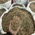优质三七根规格多样现货速发一手货源质量保证