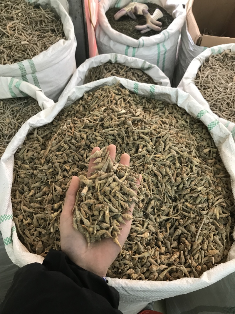 优质三七根规格多样现货速发一手货源质量保证