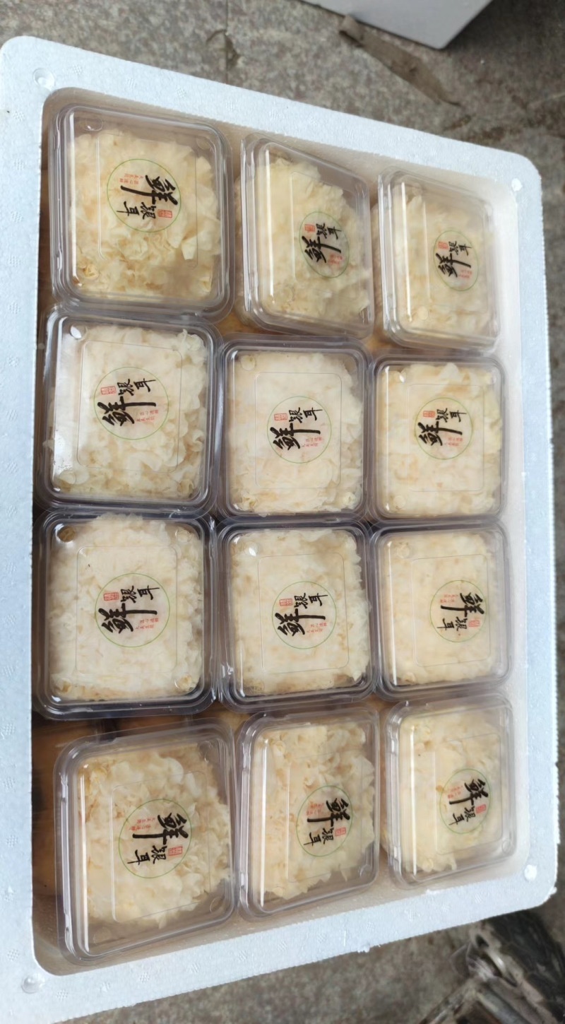 新鲜银耳