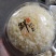 新鲜银耳