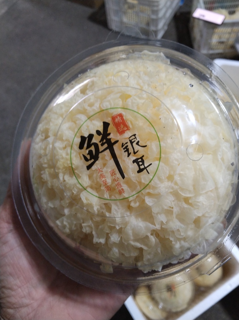 新鲜银耳