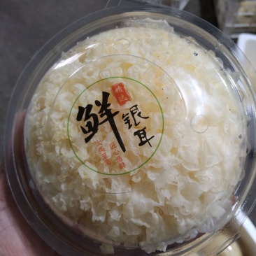 新鲜银耳