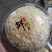 新鲜银耳