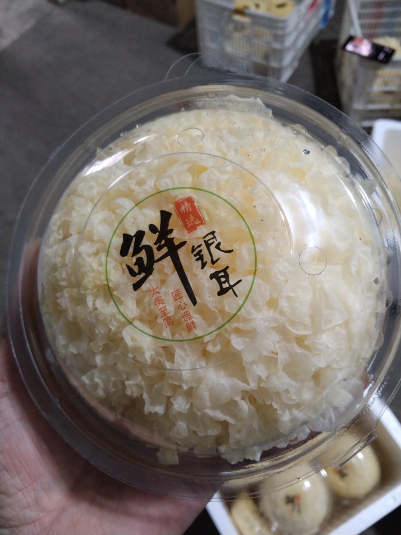 新鲜银耳