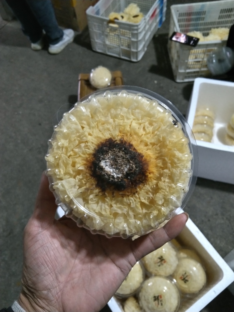 新鲜银耳