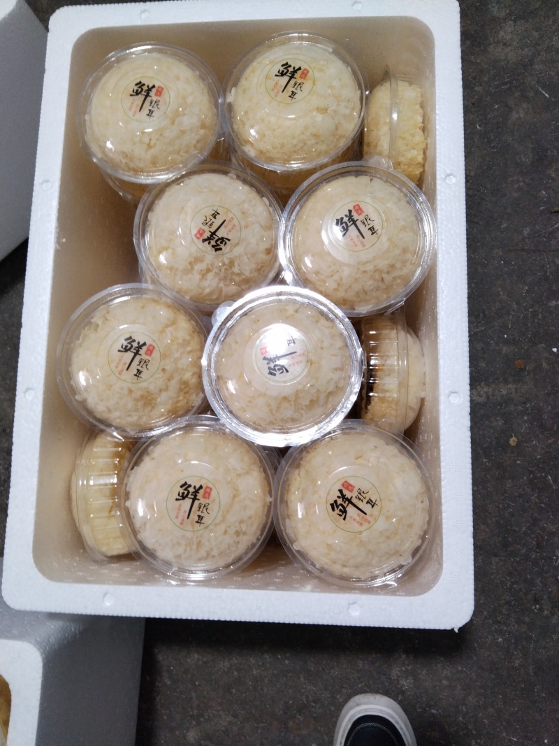新鲜银耳